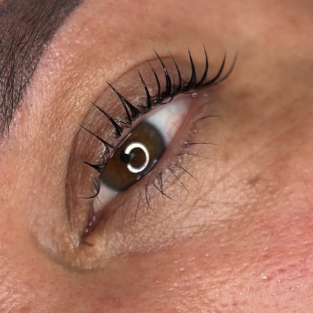 Lash lift and wax combo at Beauty galore in Greenacres, FL